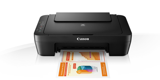 All-in-One Printer Canon PIXMA MG2550S